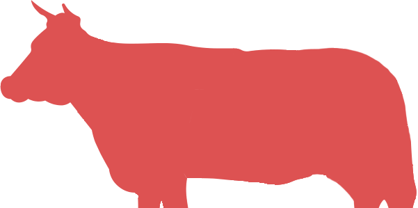 Cow Part 1