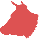 Cow Part 1